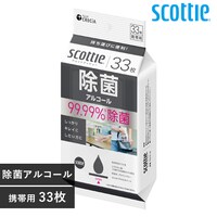 {NVAij XRbeB EFbgeBV[ۃAR[^Cv gїp 33 yvU}[Pbgz