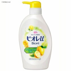 ԉ rIu tbVVgX̍ |v 480ml yvU}[Pbgz