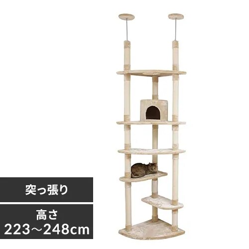 �y�󂠂�z�L���b�g�^���[ �c�C���˂����� �x�[�W���@_0