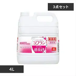 �y3�Z�b�g�z�\�t���� �v���~�A�����L �t���[�����A���} 4L
