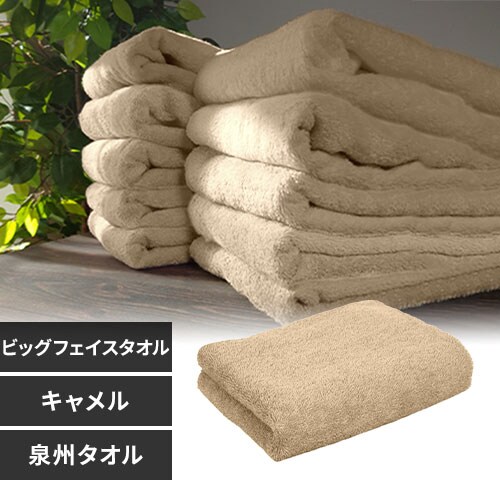 �y1���z �r�b�O�t�F�C�X�^�I�� �L�������y������s�z_0