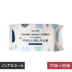 y30zԂ̗邨ӂ70 