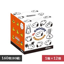 y12z NlbNX eBbV 160 (80g)1~12 Xk[s[ L[u^@