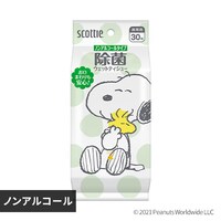 XRbeB EFbgeBbV  mAR[^Cv Xk[s[ 30 76606 