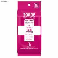 �X�R�b�e�B �E�F�b�g�e�B�b�V�� ���Ńm���A���R�[���^�C�v 30�� 77116