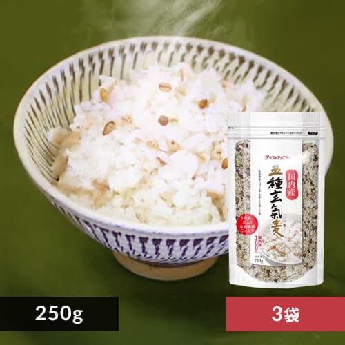 ＜アイリスプラザ＞ 【メール便】ベストアメニティ 【3袋】国内産 五種玄氣麦 250g（麦5種）画像