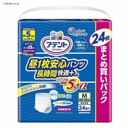 Aeg 1Spc ԉKvX MTCY jp 24 773902