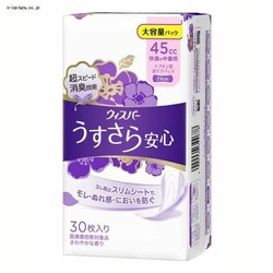 �E�B�X�p�[ ����������S �����p �z���P�A 45cc ���K�̒��ʗp �i�v�L���^�A�P�A�p�b�h 30������ 24cm ��e�ʃp�b�N(���ʂ̔A�����p) �y�v���U�Z���N�g�z