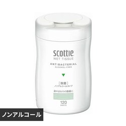 �X�R�b�e�B �E�F�b�g�e�B�b�V�� ���� �m���A���R�[���^�C�v �{�� 120�� 77022 �y�O�����s�z�y������s�z