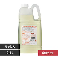 y6Zbgz EM H􂢉t̂ V{ʐ΂ 2.1L