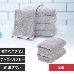 �y2���z �~�j�o�X�^�I�� �`���R�[���O���[ 