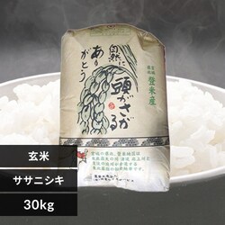 yߘa6NYz30kg {錧YTTjVL yz