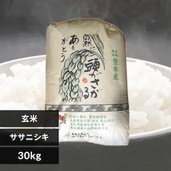 yߘa7NYz30kg {錧YTTjVL yz