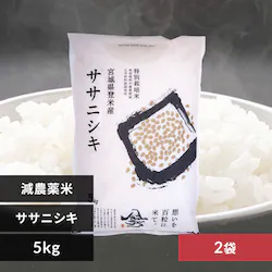 y10kgz_ {錧Y TTjVL 5kg~2 ߘa7NY yԎwszyszyszyOszyvUZNgz yz