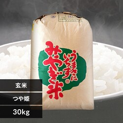 y30kgz {錧Y P ߘa6NY yԎwszyszyszyOszyvUZNgz yz