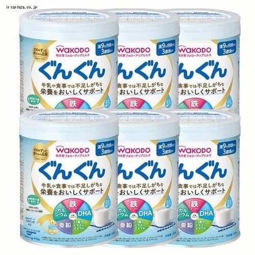 【6個セット】和光堂フォローアップミルクぐんぐん300g