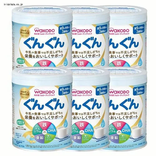 【6個セット】和光堂フォローアップミルクぐんぐん300g_0