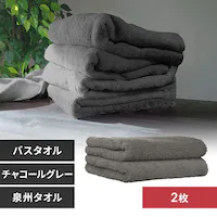 �y2���z �o�X�^�I�� �`���R�[���O���[