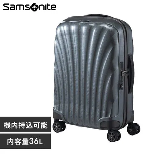 �X�[�c�P�[�X 36L �T���\�i�C�g �@���������݉\C-lite SPINNER 55/20 ���^���b�N�O���[��_0
