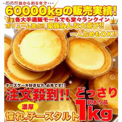 �y�����p�z�Z���`�[�Y�^���g�ǂ�����1kg SM00010002 