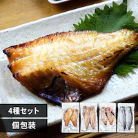 Zbg HS10-GP yԎwszysz