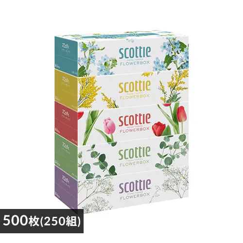 【5箱】 スコッティ ティッシュ 500枚 (250組) 5箱 日本製紙クレシア