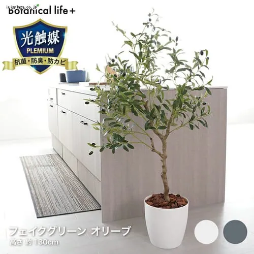 �ǉ����i�T���l�C��