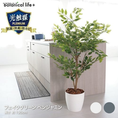 観葉植物 ベンジャミン フェイクグリーン ホワイト【代引不可】【同梱不可】【プラザセレクト】