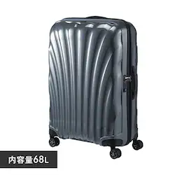 �X�[�c�P�[�X 68L �T���\�i�C�g �_�u���L���X�^�[ TSA���b�N C-lite �X�s�i 69/25 ���^���b�N�O���[��