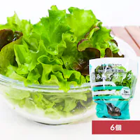 �y50��OFF�N�[�|���I�z�y6�z �݂��ăT���_�i���^�X�j �y���Ԏw��s�z