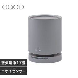 cado ��C����@�i17��j LEAF130 �N�[���O���[