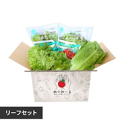 お任せ野菜ボックス リーフセット【時間指定不可】【同梱不可】【直送】