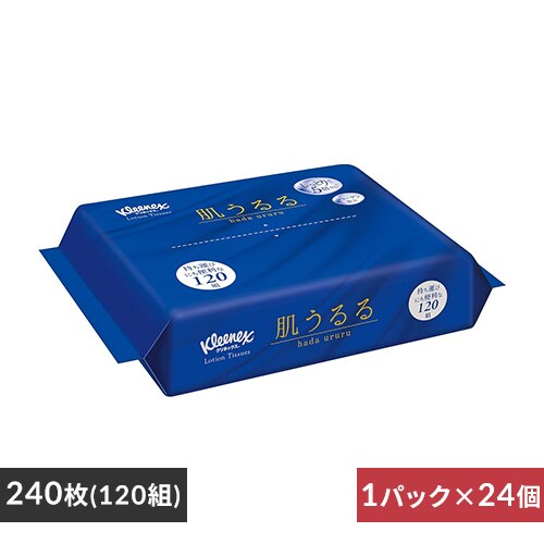 �y24�Z�b�g�z�N���l�b�N�X�e�B�b�V�� ���[�V���� �ێ� ������� �\�t�g�p�b�N 120�g�i240���j 48141 �y�v���U�Z���N�g�z_0