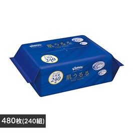 �N���l�b�N�X ������� 480���i240�g�j