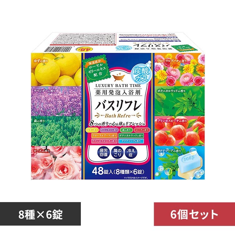 ライオンケミカル 炭酸ガス 薬用発泡入浴剤 【前払い不可】【代引き
