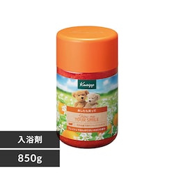 KNEIPP NiCv oX\g l̍