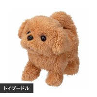 �s�b�R���[�l �g�C�v�[�h���y�v���U�Z���N�g�z