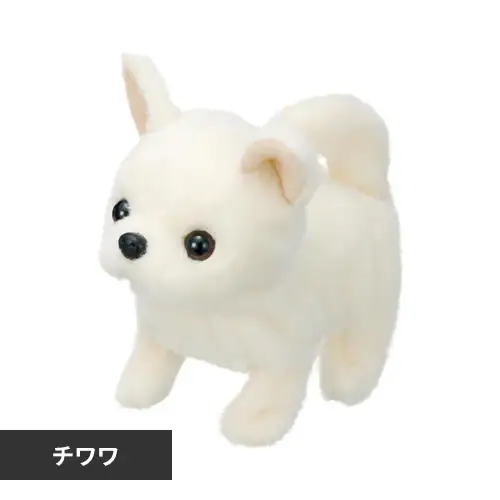 ピッコリーネ チワワ【プラザセレクト】_0