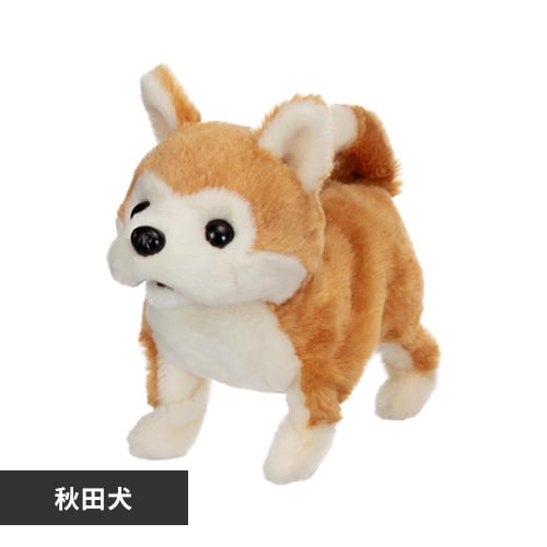 ピッコリーネ 秋田犬【プラザセレクト】