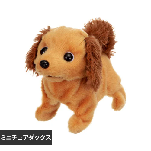 ピッコリーネ ミニチュアダックス【プラザセレクト】_0