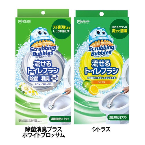 �X�N���r���O�o�u�� ������g�C���u���V �{�� �V�g���X_0