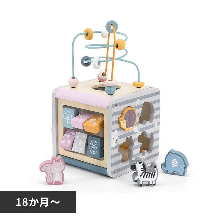 DADWAY アクティビティボックス TYPR44030 【プラザセレクト】