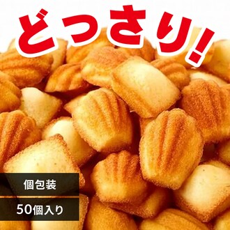 �y�����p�z�v�`�t�B�i���V�F �v�`�}�h���[�k 50��