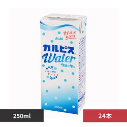 Gr[ uJsXEH[^[v(LL) pbNX250ml ~24{ 29128 yvUZNgz