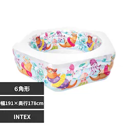 INTEX nbs[Ib^[v[ 56493 yvUZNgz