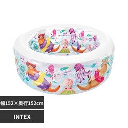 INTEX ���g���I�b�^�[�v�[�� 58480 