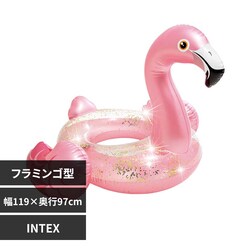 INTEX Ob^[t~S`[u 56251 yvUZNgz