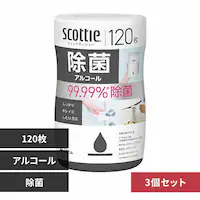 {NVA y3ZbgzXRbeB EFbgeBbV  AR[ { 120 ۃAR[ yvUZNgz