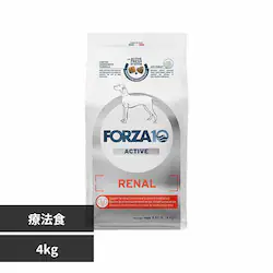 Forza10 i[ANeBu ~fBA 4kg yvUZNgz