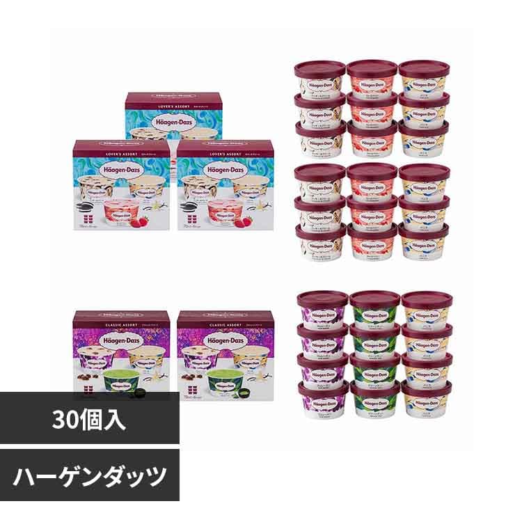 ハーゲンダッツ Haagen-Dazs アソートバラエティ（ラバーズアソート